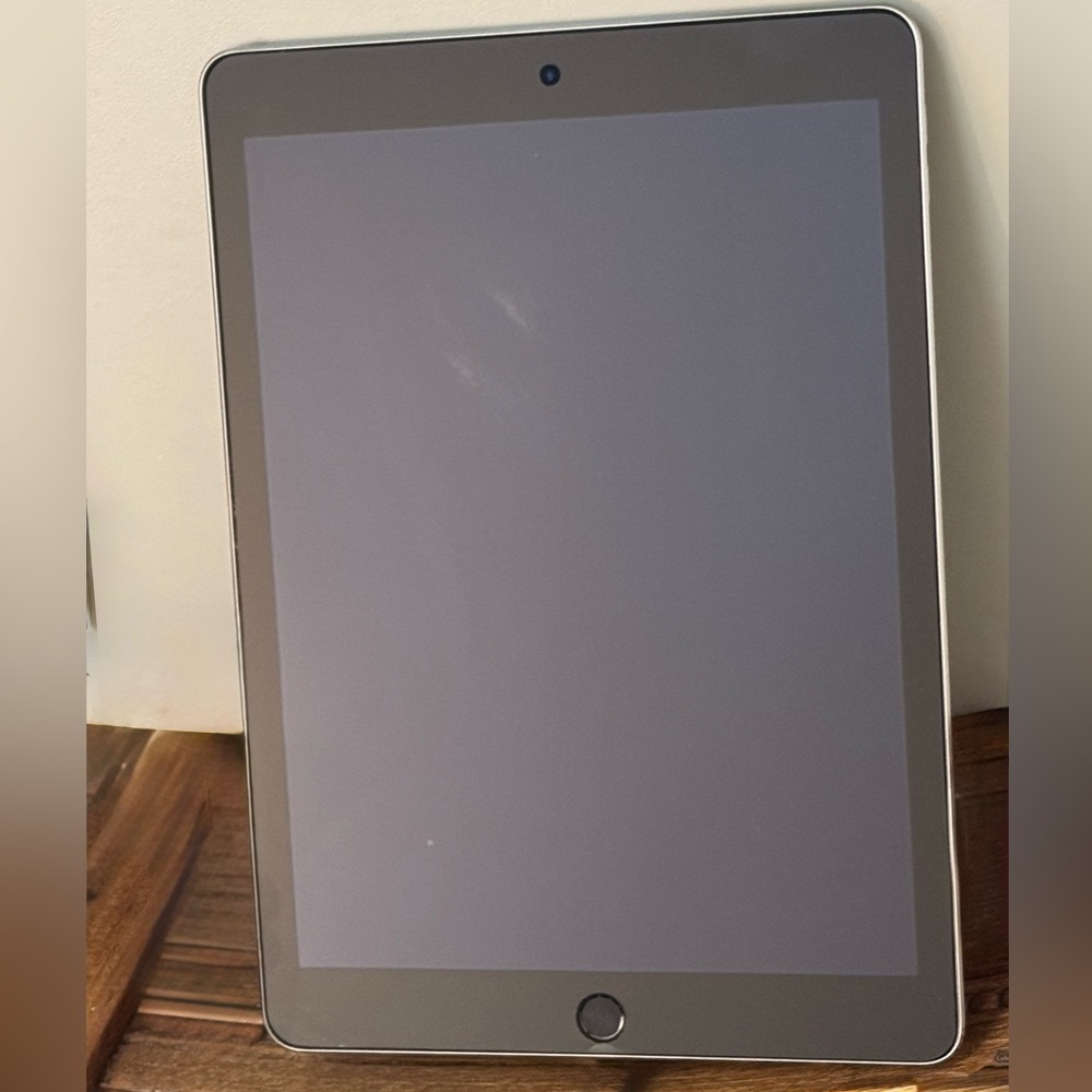 Apple iPad 128GB Air2 A1566 DMPSK3G2G5W1 + A1385 Power Adapter Charge Cable EUC - Picture 6 of 12